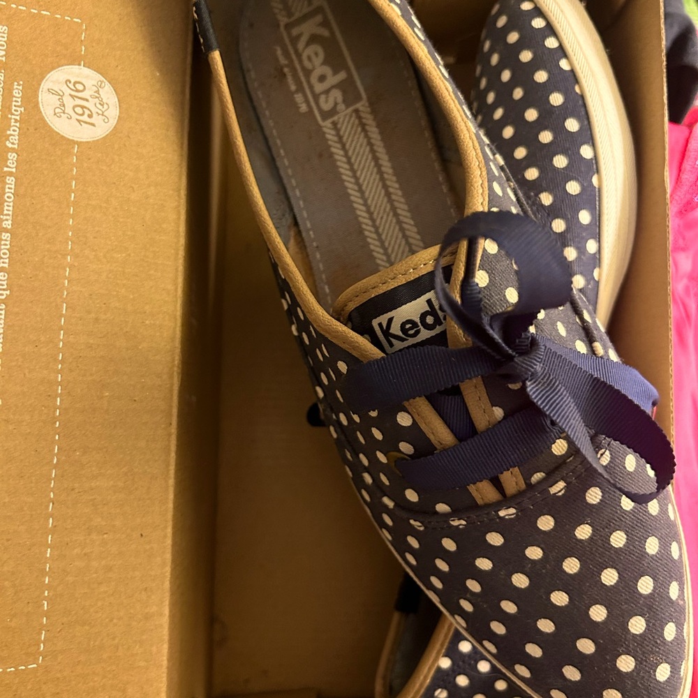 Pointer Dot Navy 1916